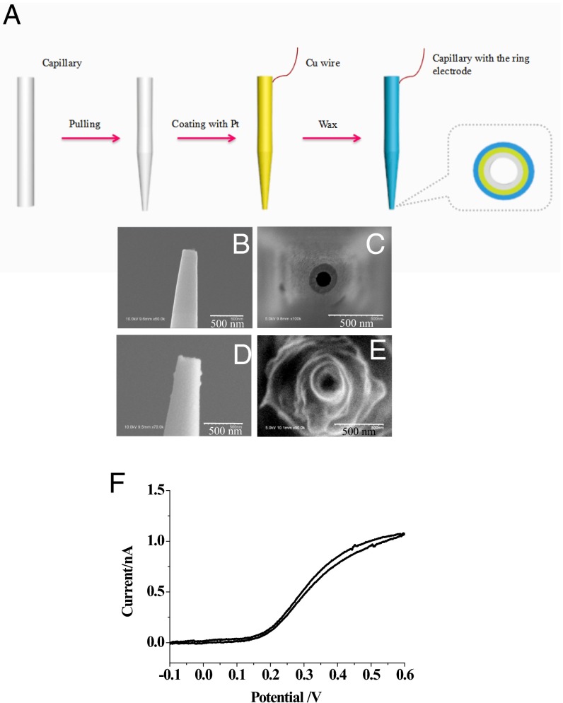 Fig. 2.