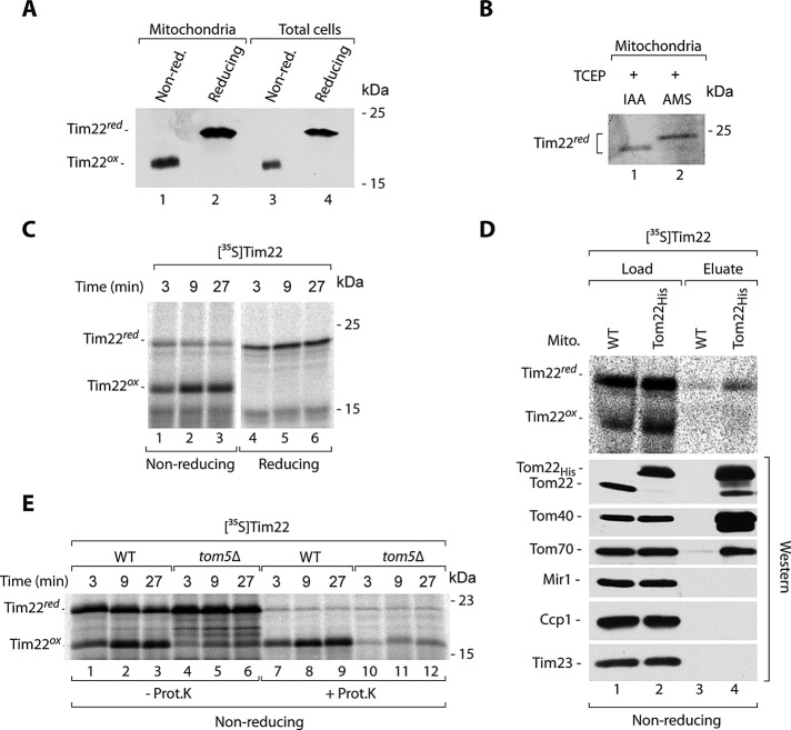 FIGURE 1: