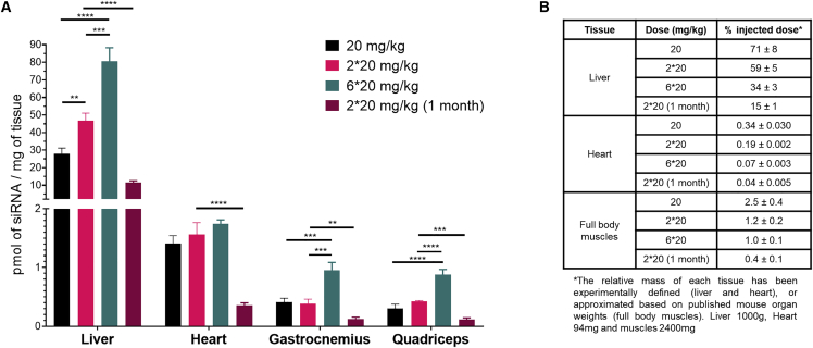 Docosanoic acid conjugation to siRNA enables functional and safe ...