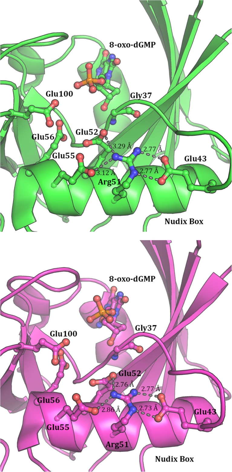 Fig. 9