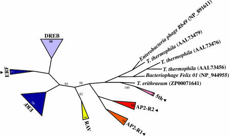 Figure 6.