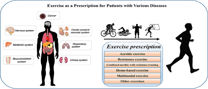 Image, graphical abstract