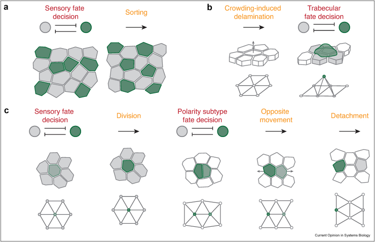 Figure 2