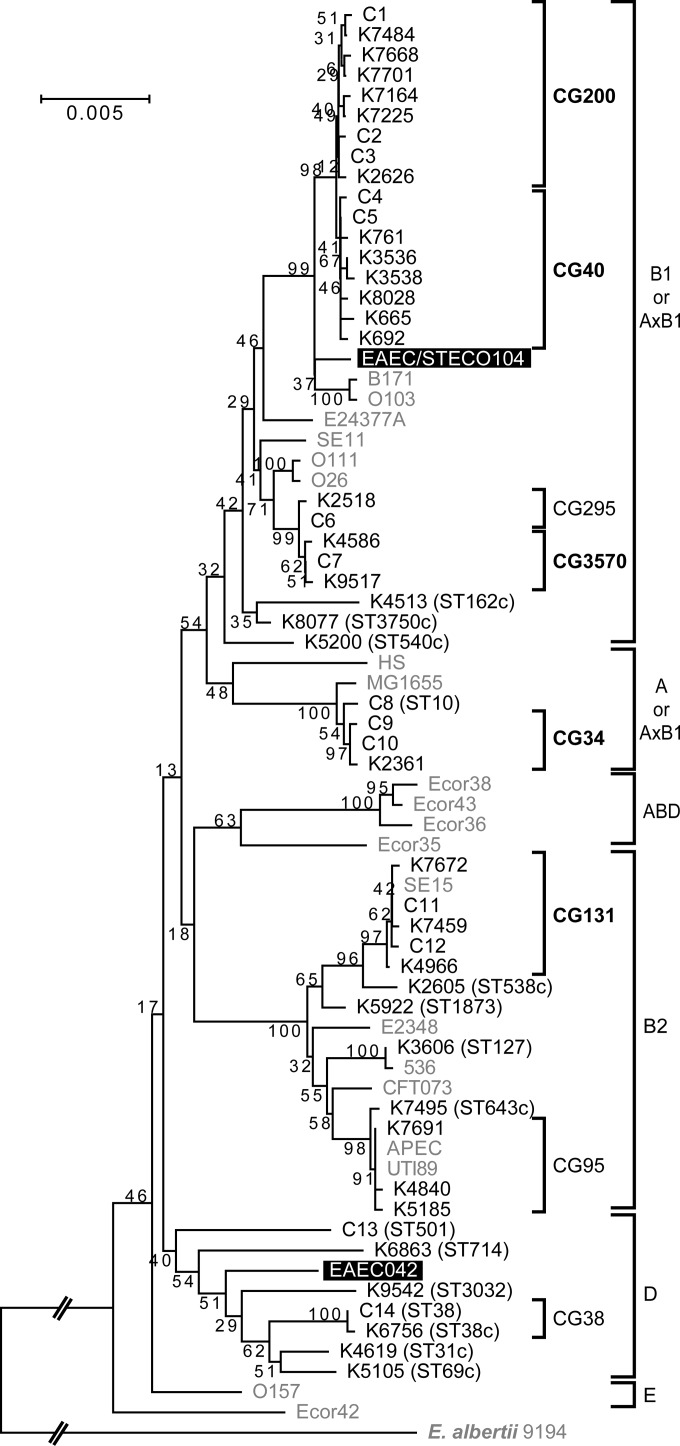 FIG 1