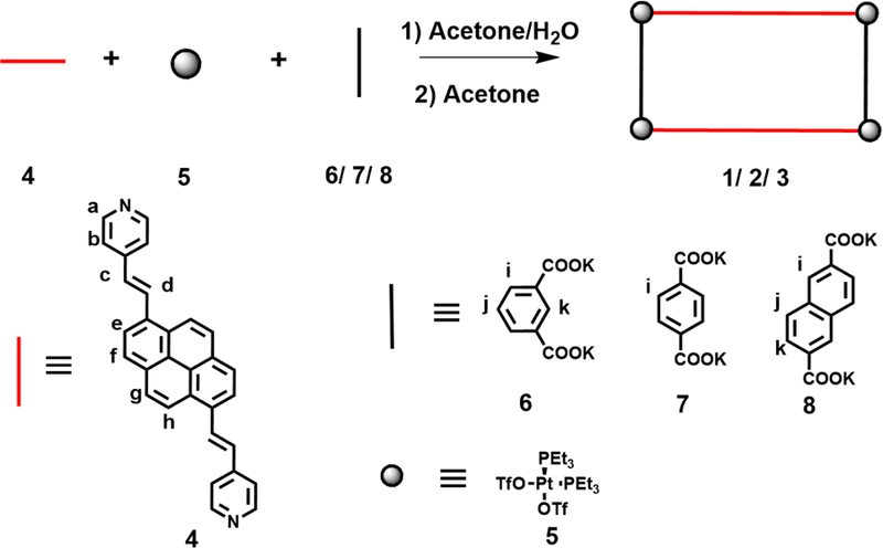 Scheme 1