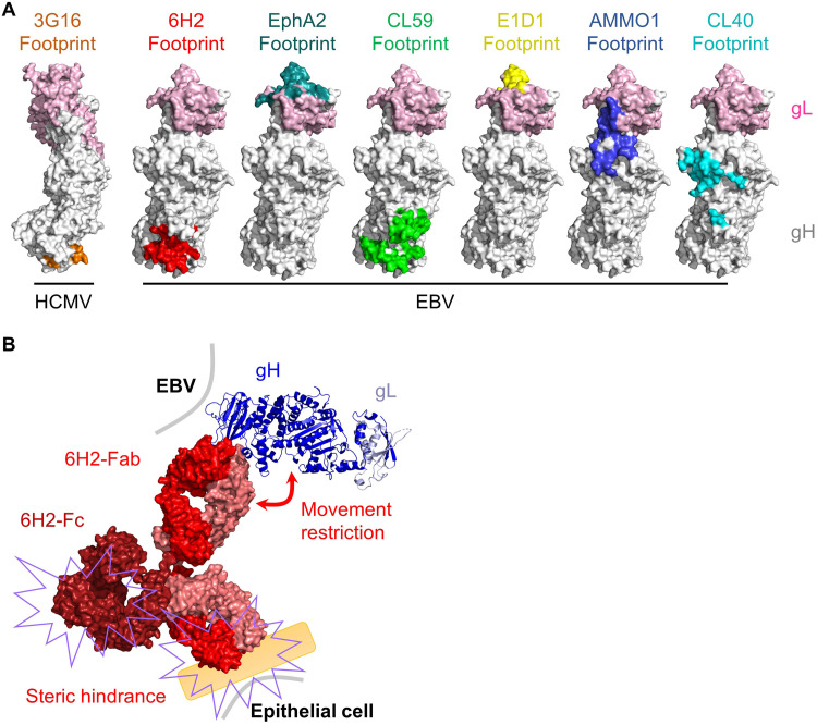 FIG 6