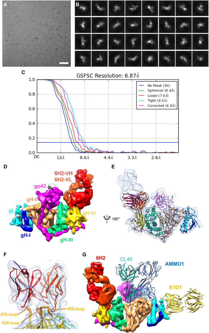 FIG 3