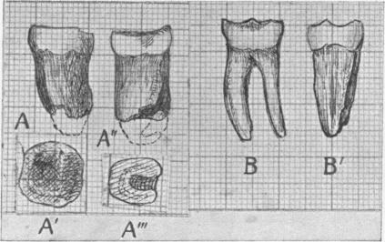 Fig. 10