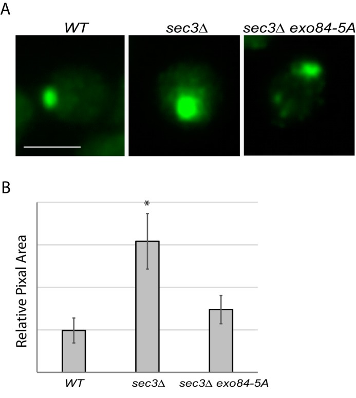 Figure 7.