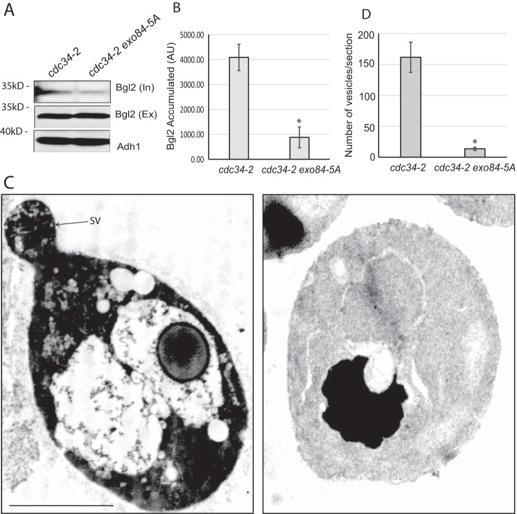 Figure 5.