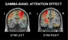 Figure 13.