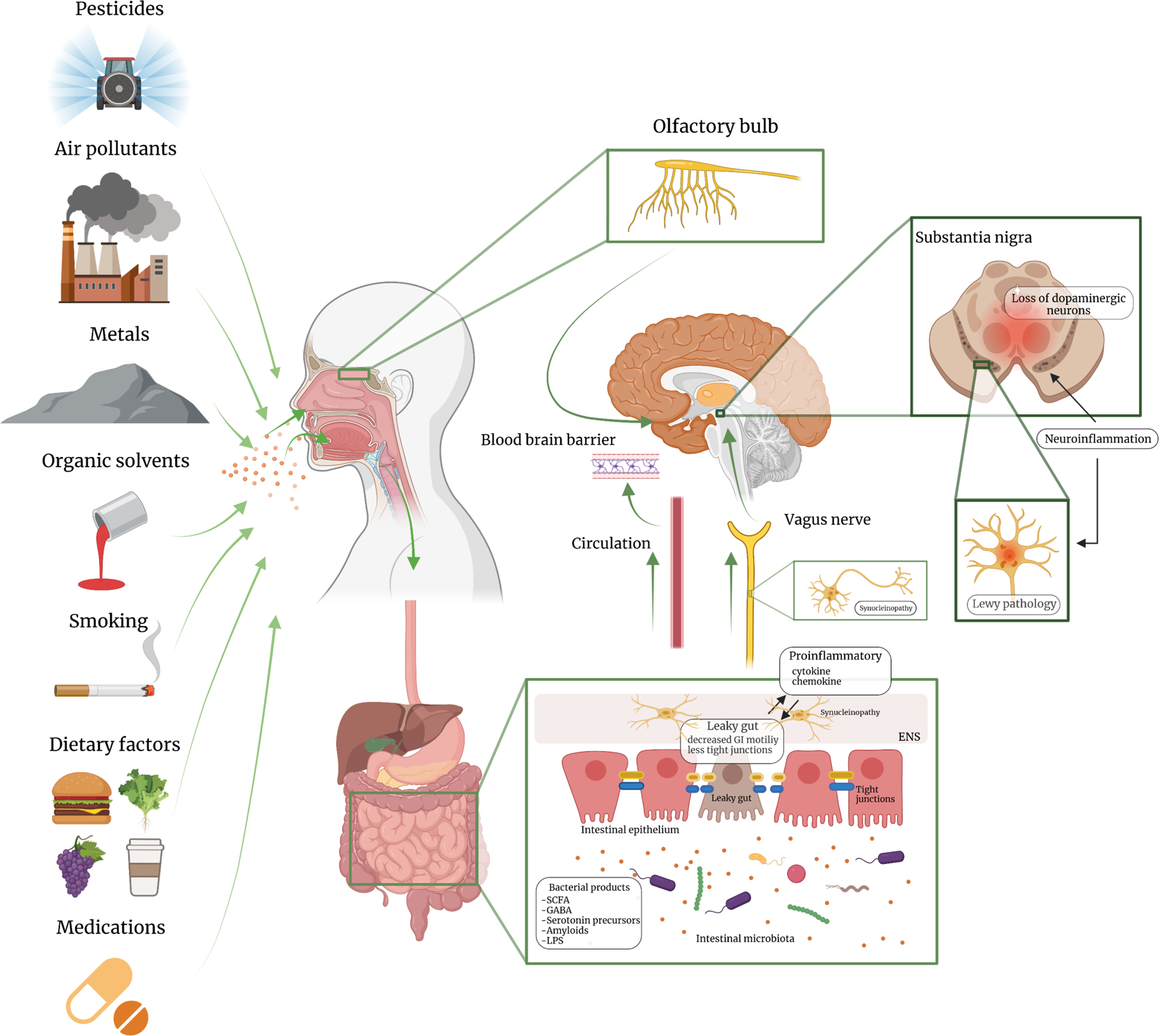 Figure 2: