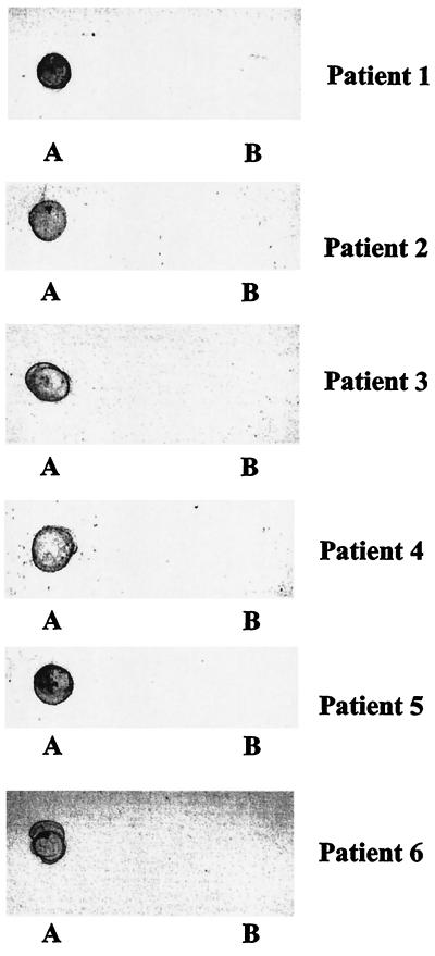 FIG. 11.