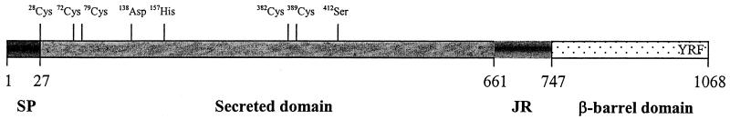 FIG. 3.