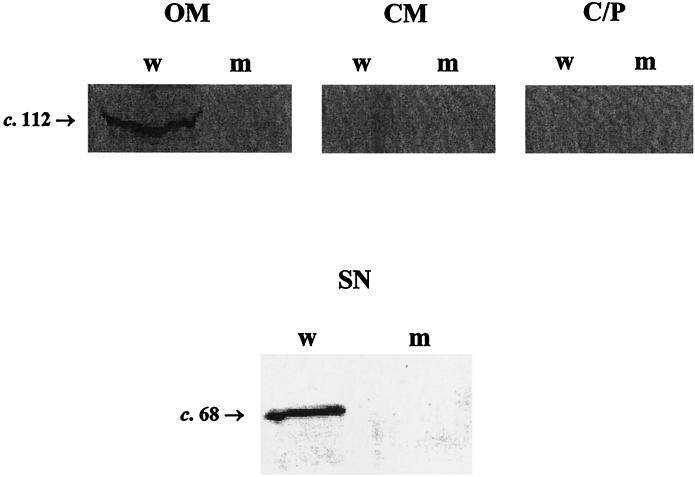 FIG. 8.