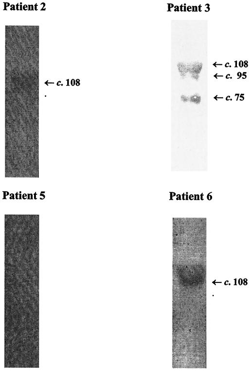 FIG. 10.