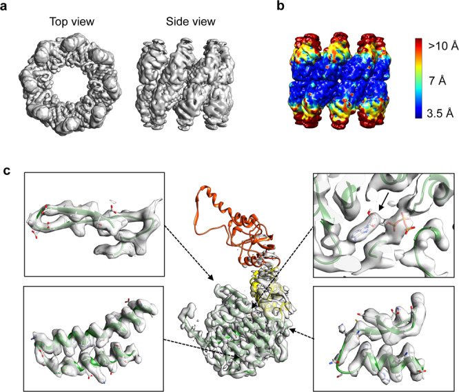 Fig. 1