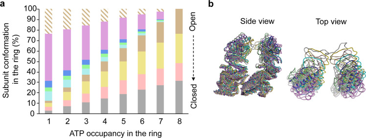 Fig. 6