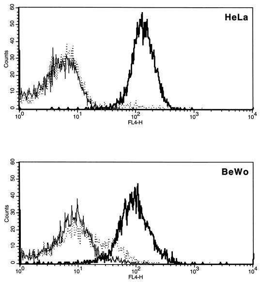 FIG. 3.