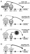 FIG. 2.