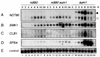 FIG. 5.