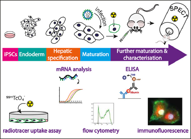 Image, graphical abstract