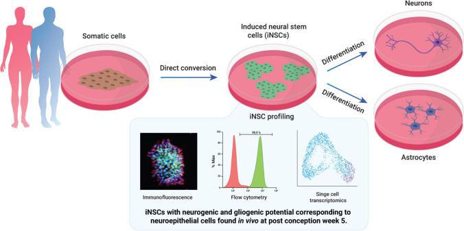 graphic file with name 12015_2024_10698_Figa_HTML.jpg