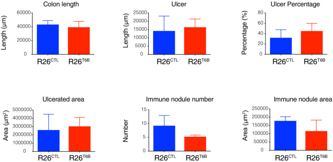 Figure 4—figure supplement 1.