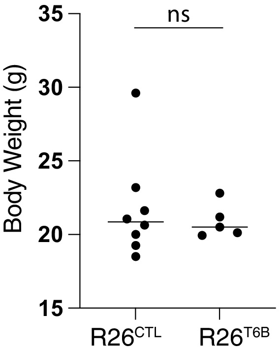 Figure 3—figure supplement 5.