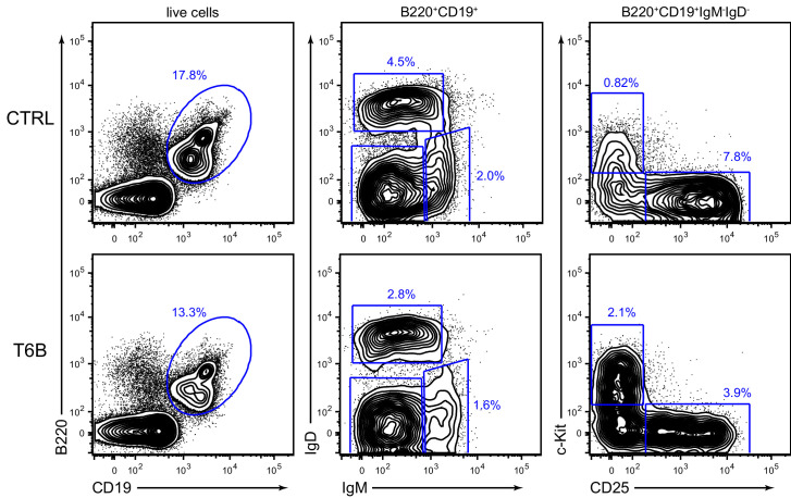 Figure 3—figure supplement 7.