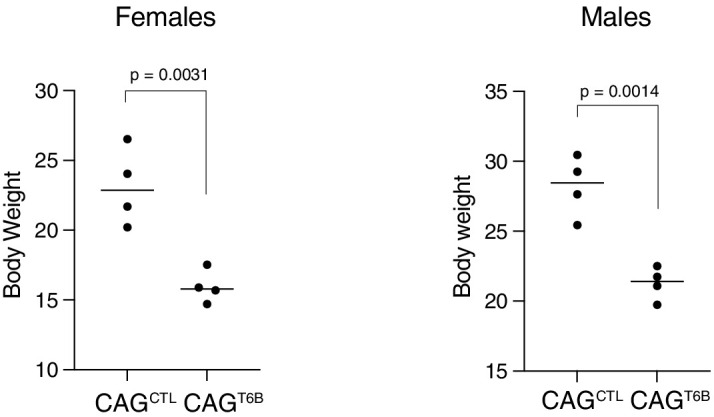 Figure 6—figure supplement 1.