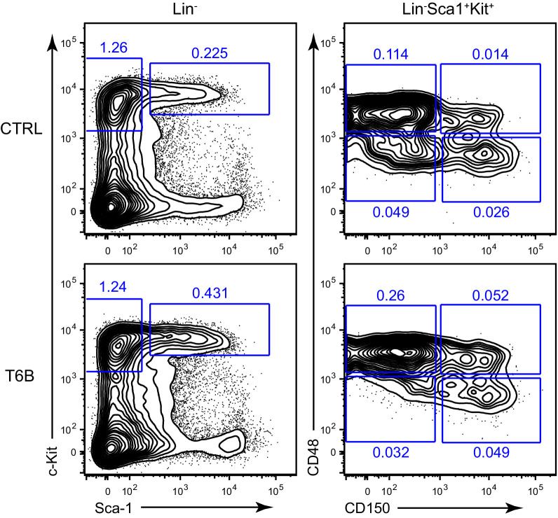 Figure 3—figure supplement 6.