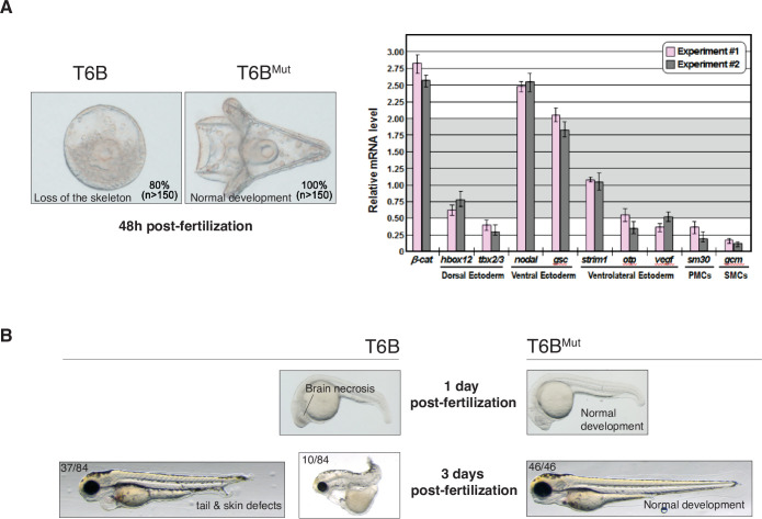 Figure 6—figure supplement 3.