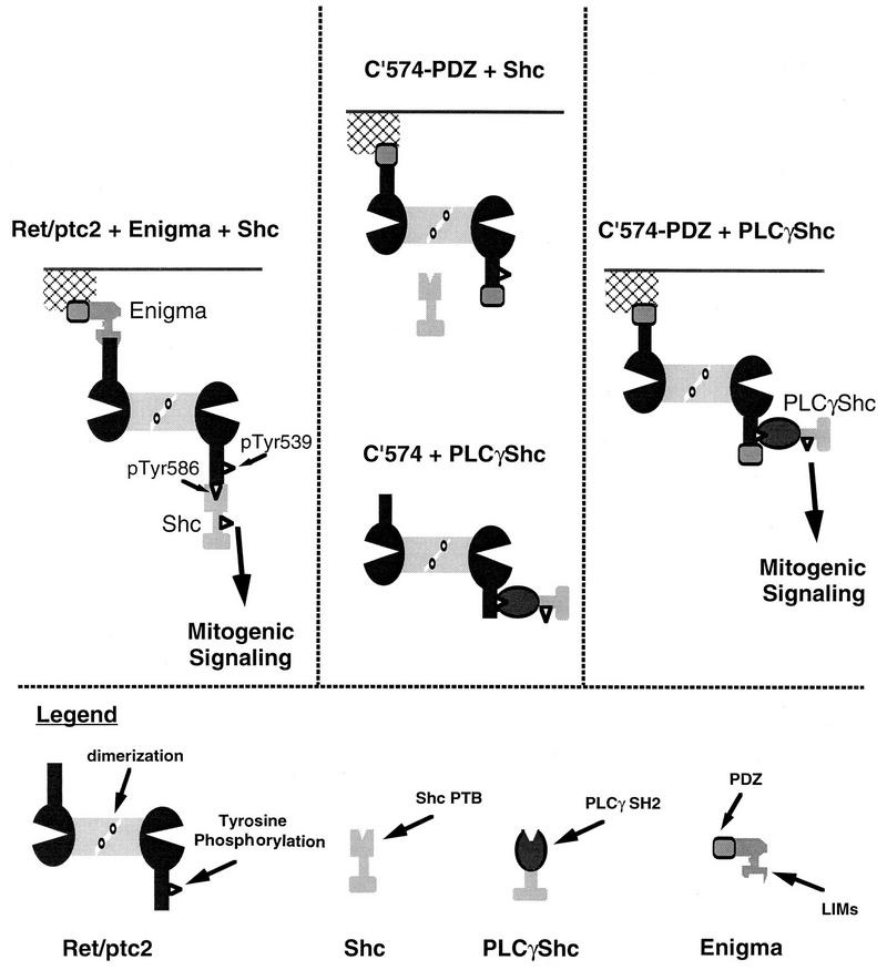 FIG. 11