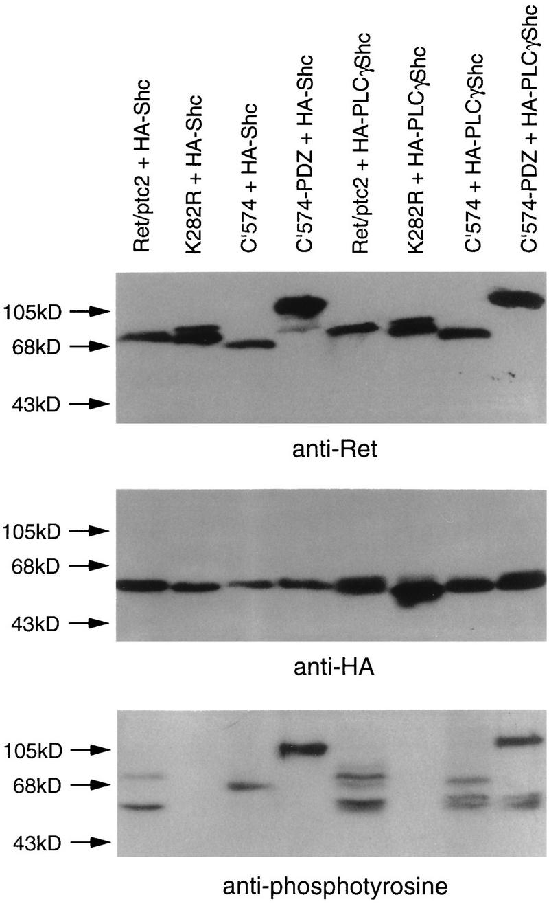 FIG. 7