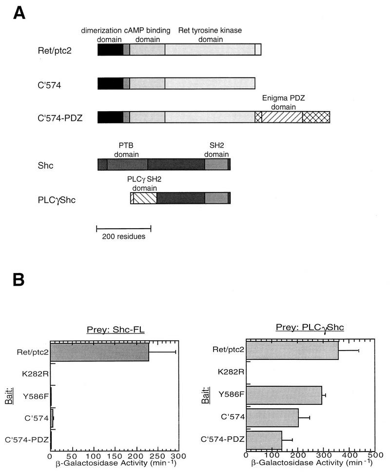 FIG. 6