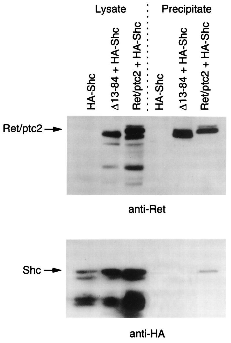 FIG. 9