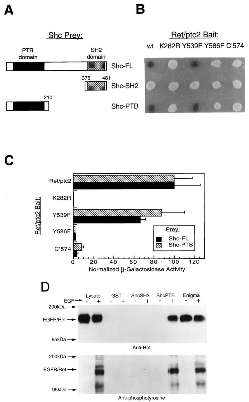 FIG. 5