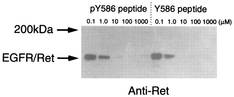 FIG. 10