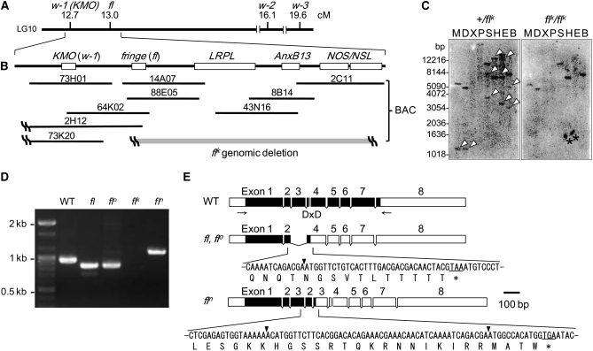 Figure 2.—