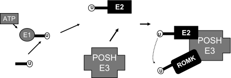 FIGURE 10.