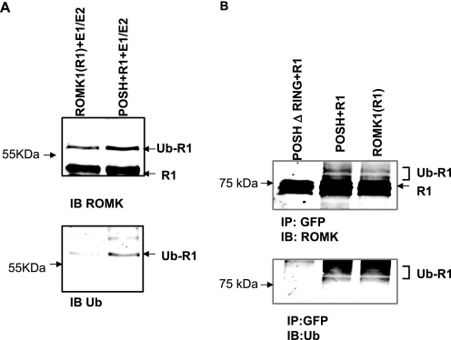 FIGURE 9.