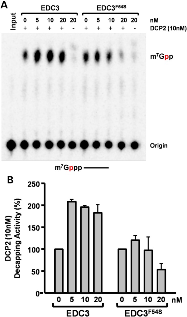 Figure 4.