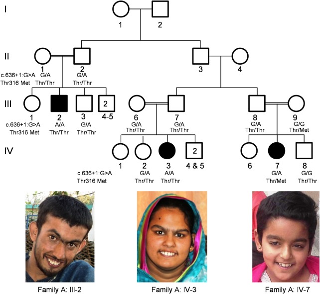 Figure 1.