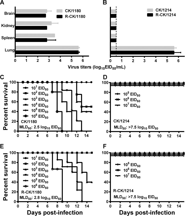 FIG 1