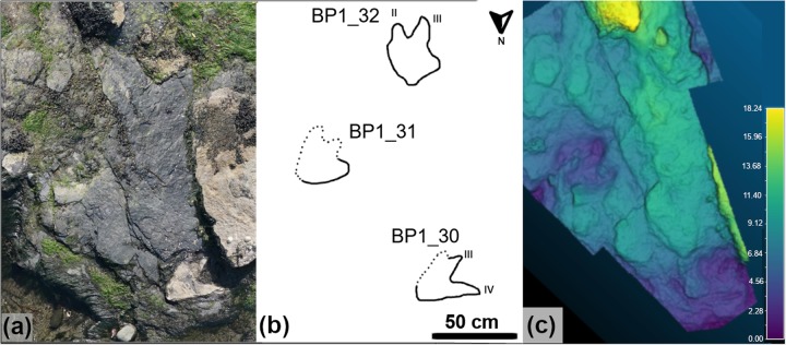 Fig 11