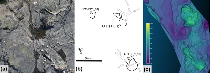 Fig 13