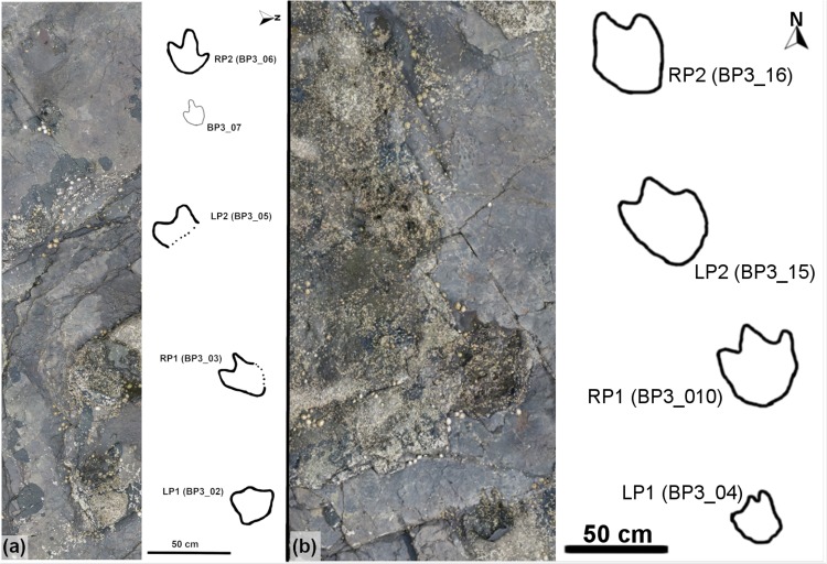 Fig 20