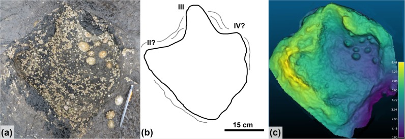 Fig 18