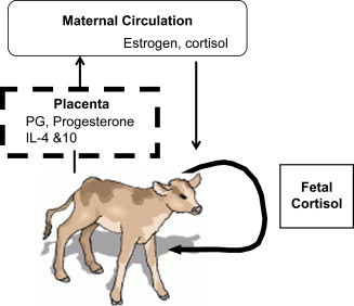 Fig. 2